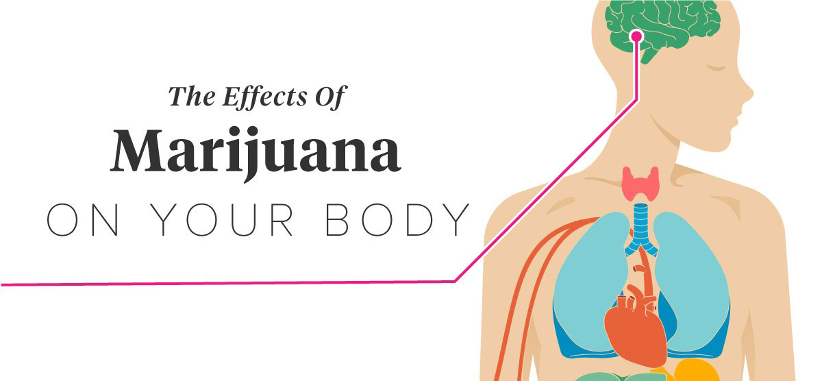 Side-effects-of-marijuana-use